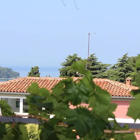 Horizont *